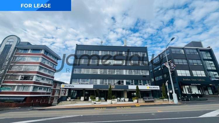 Level 4 - Tenancy A/272 Parnell Road_0
