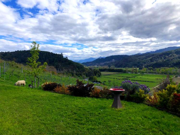 9 Wharua Tiro Place Motueka_8