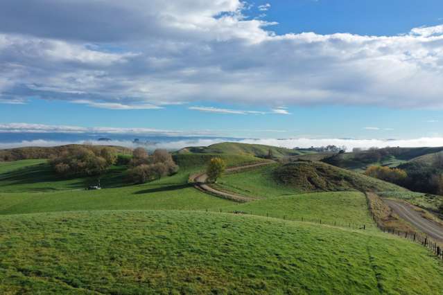 223 and 224 Peacock Road Waipukurau_1