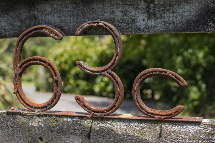 63c Lowe Road Whakamarama_4