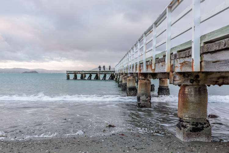 7 Ventnor Street Seatoun_20