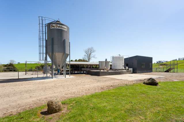 68 Dukeson Road Putaruru_3