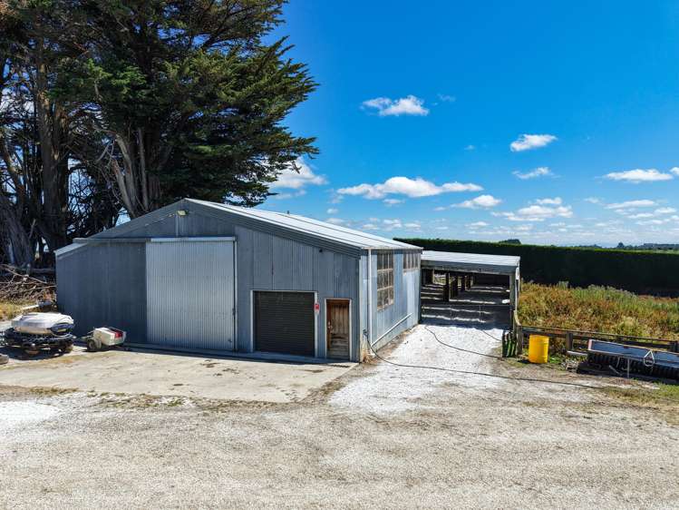 251 Rakahouka Hedgehope Road Mabel Bush_7