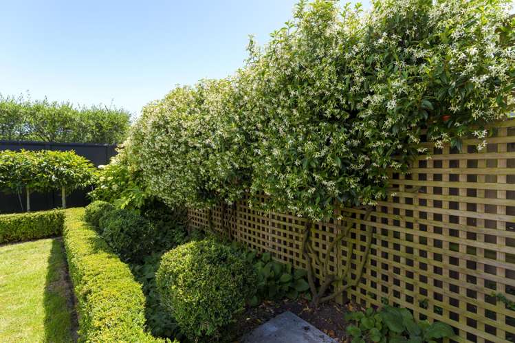 43 Cox Street Merivale_21