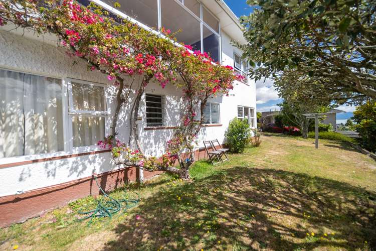 66 Chamberlain Street Tahunanui_4