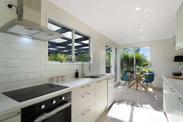 13 Leo Street Glen Eden_4