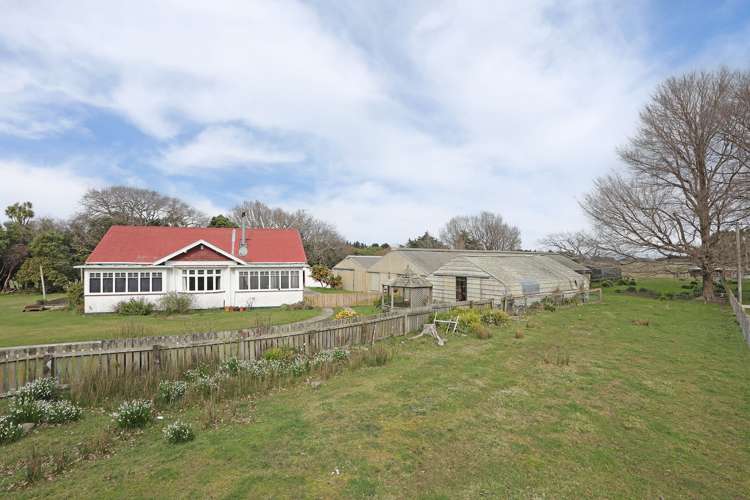 76 Wings Line Marton_20