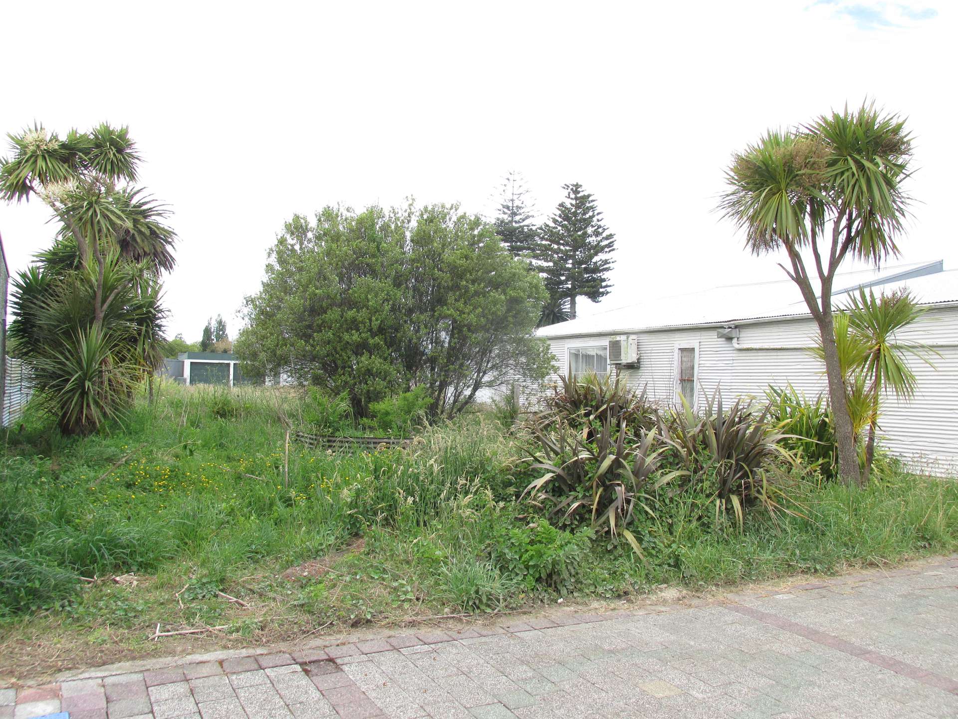 16 Carroll Street Wairoa_0