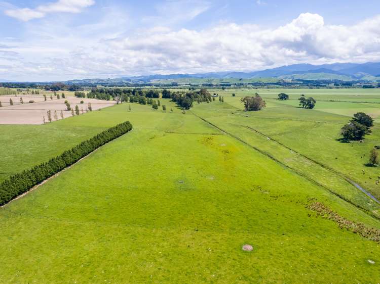 Lot 6, 216 Donovans Road Masterton_3