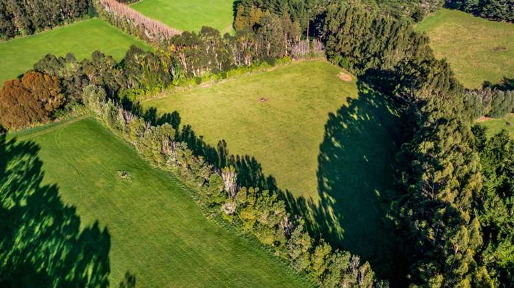 709 Ingahape Road Ohangai_22