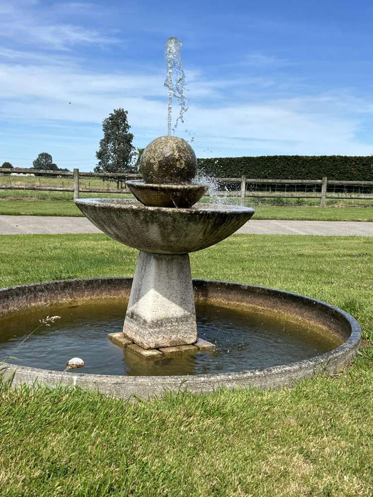 113 Mill Road South Mill Road_17