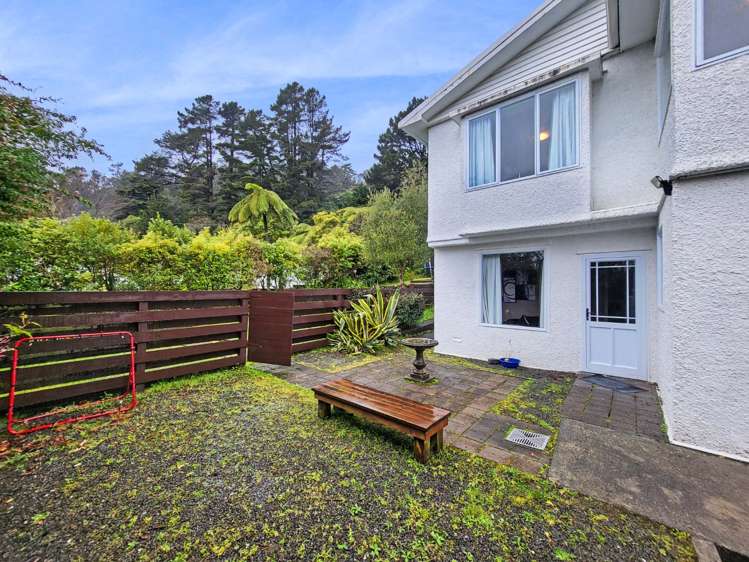 22a Hine Road 10629_13