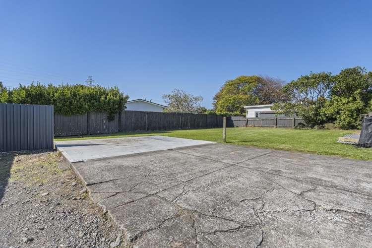12 Saxton Road Upper Vogeltown_25