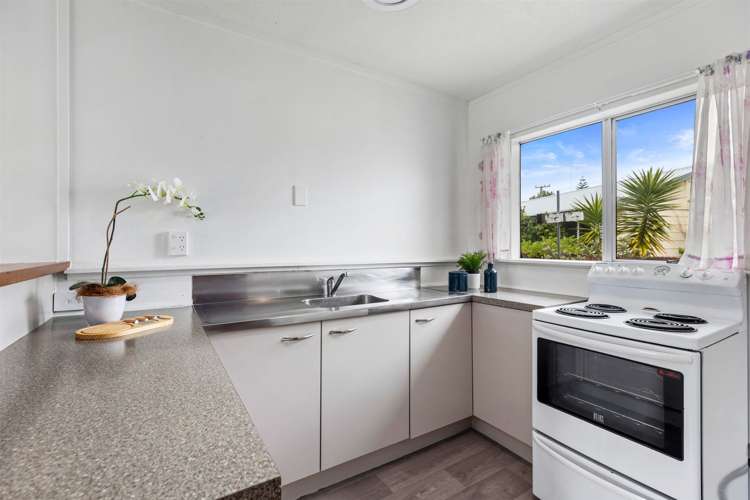 411b Ngatai Road Bellevue_4
