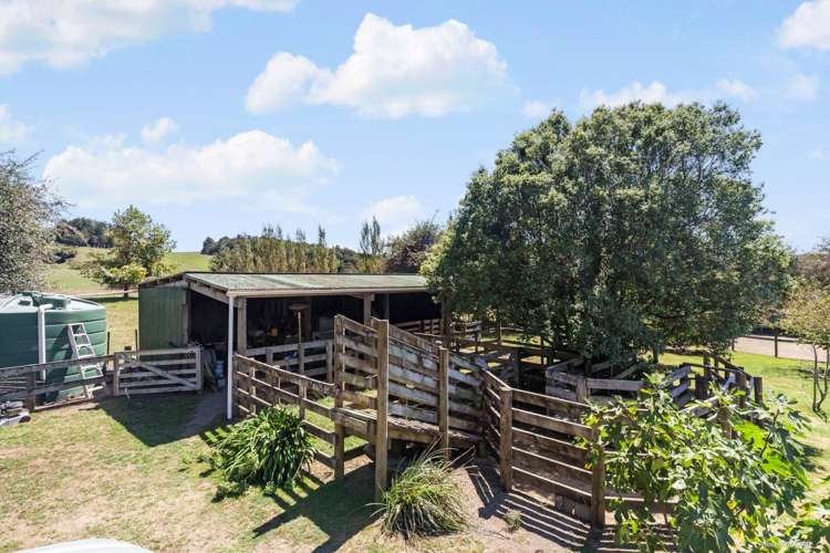 85 Kaipo Flats Road Onewhero_14