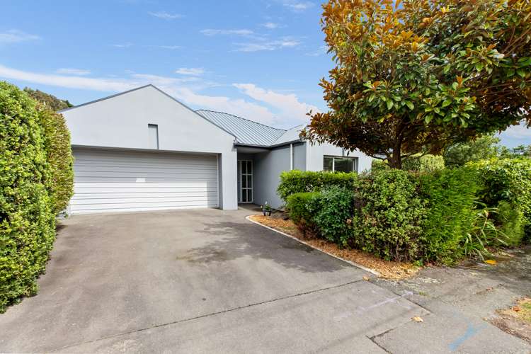 38 Hillsborough Terrace Hillsborough_14