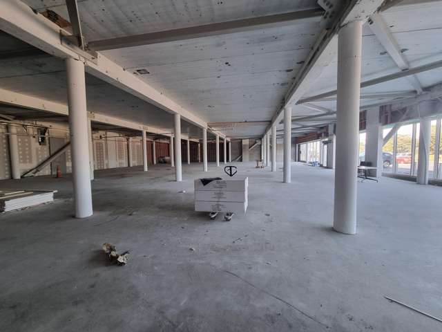 81 The Esplanade Petone_2