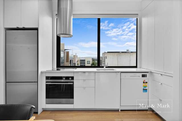 302/2 Vinegar Lane Grey Lynn_3