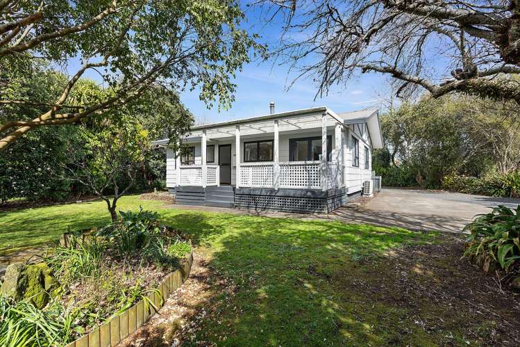 441 Mangateparu Loop Road_0