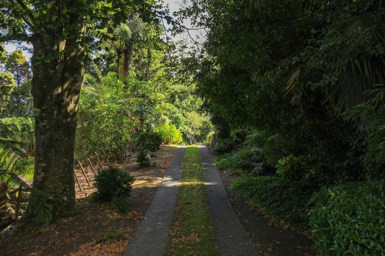 25 Alex Telfer Drive Otorohanga_12