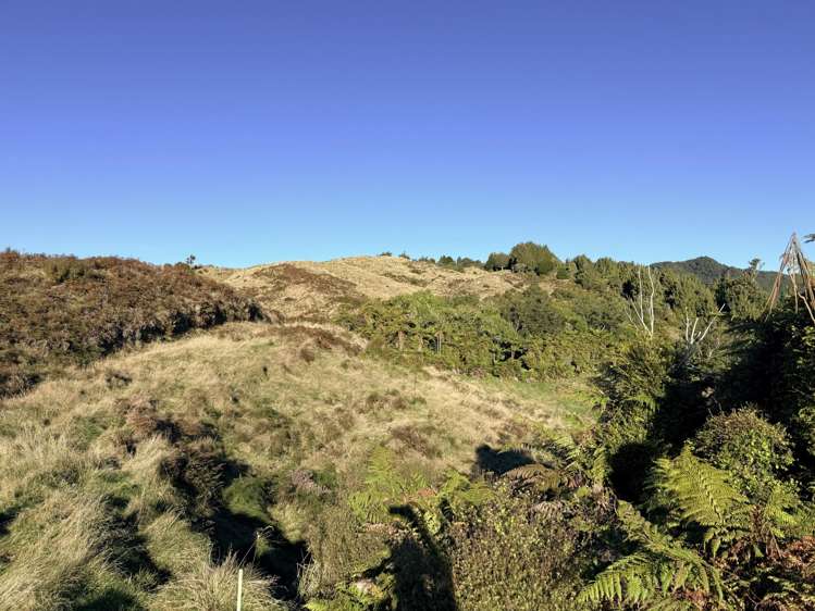 7957 State Highway 2 Opotiki Surrounds_20