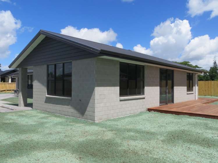 35 Ritchie Street Te Aroha_2