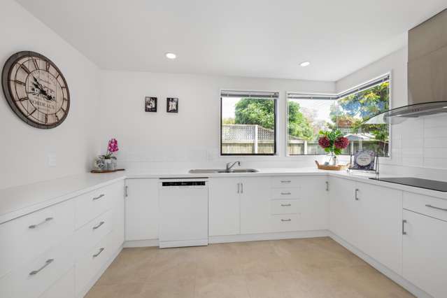 223a Redwood Street Witherlea_3