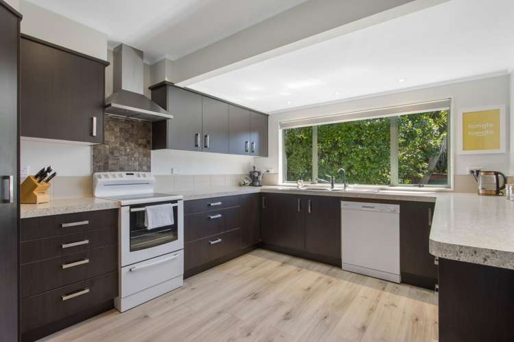 474 Youngson Road Whakamarama_10