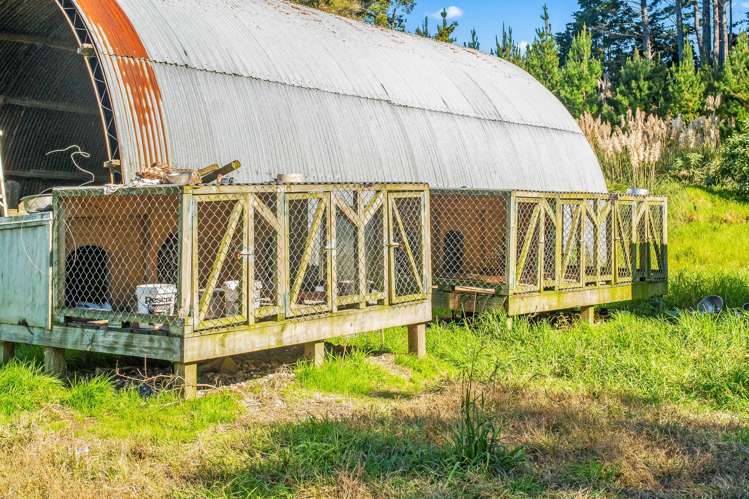 110 Whangape Track Road Broadwood_25