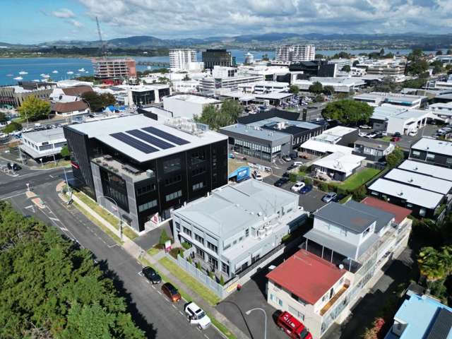 Level 1 Office 102 Hamilton Street Tauranga_4