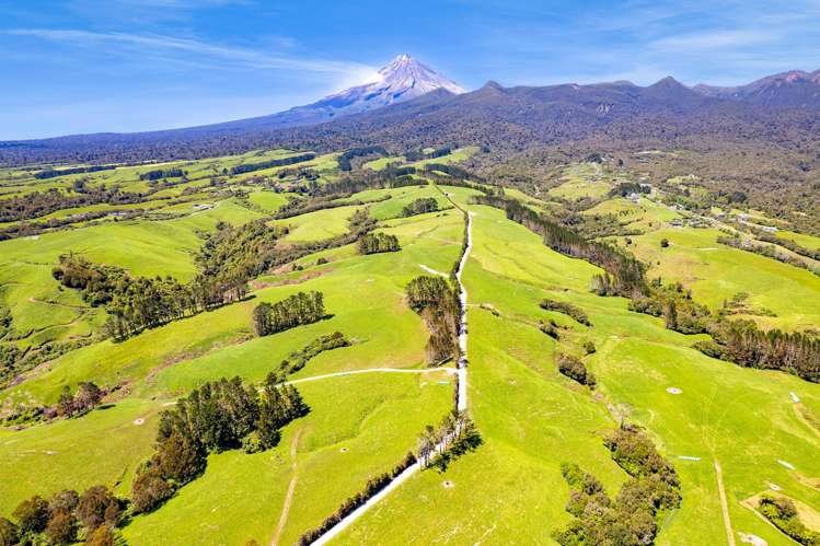 1627 Mangorei Road Korito_4