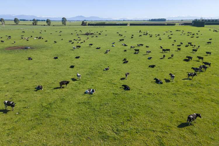 94 Brogdens Road Lowcliffe_5