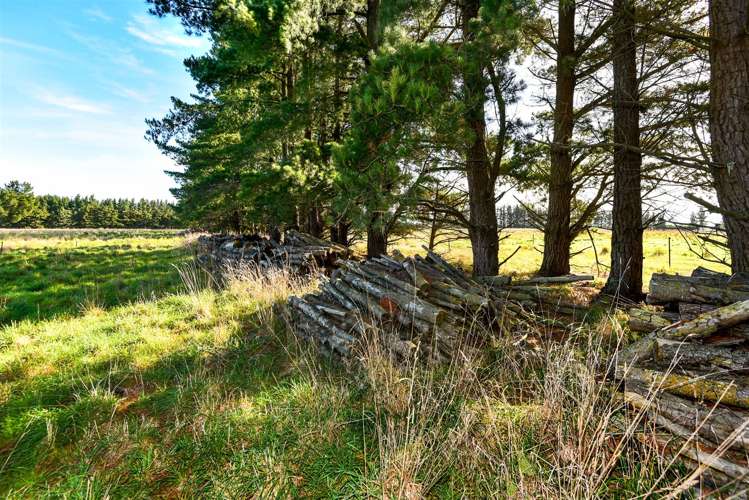 352 Knyvetts Road Southbridge_26