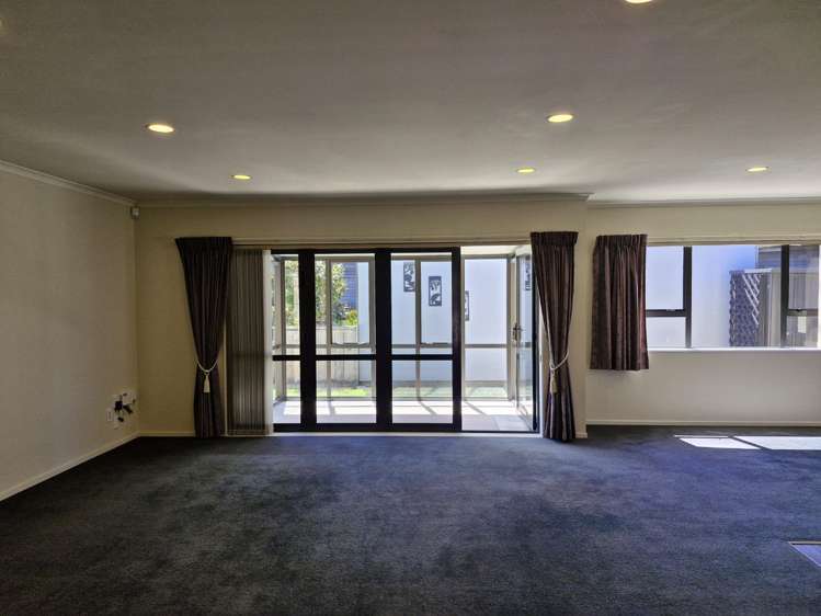 1 Holsworthy Road Vogeltown_4