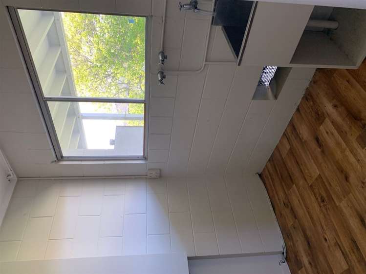 74 Carlton Street Hillsborough_18