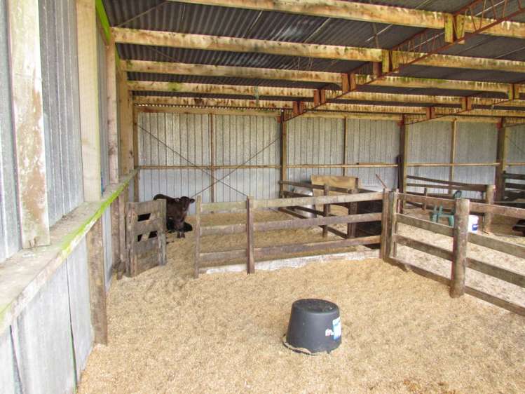 1840 Manawahe Road Manawahe_14