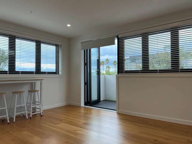 205/243 Kepa Road Mission Bay_1