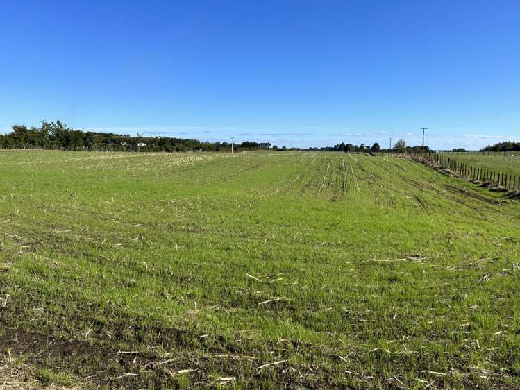 Matarikoriko Road Waitara_8