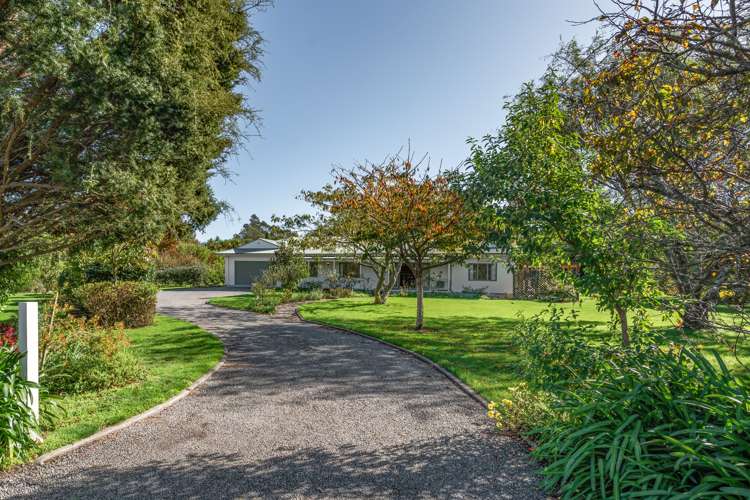 31 Udy Street Greytown_32