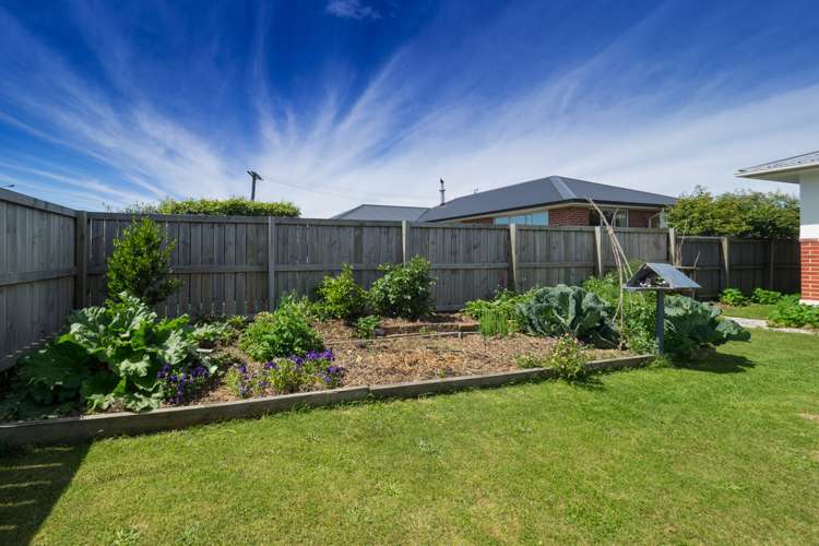 6 Suffolk Street Hampstead_15