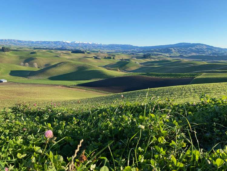 112 Waikakahi Valley Road Ikawai_18