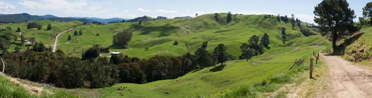 44 Coates Road Waikite Valley_13