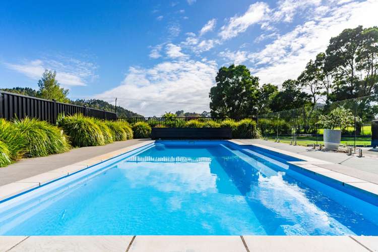 228 Harris Road Glenbervie_3