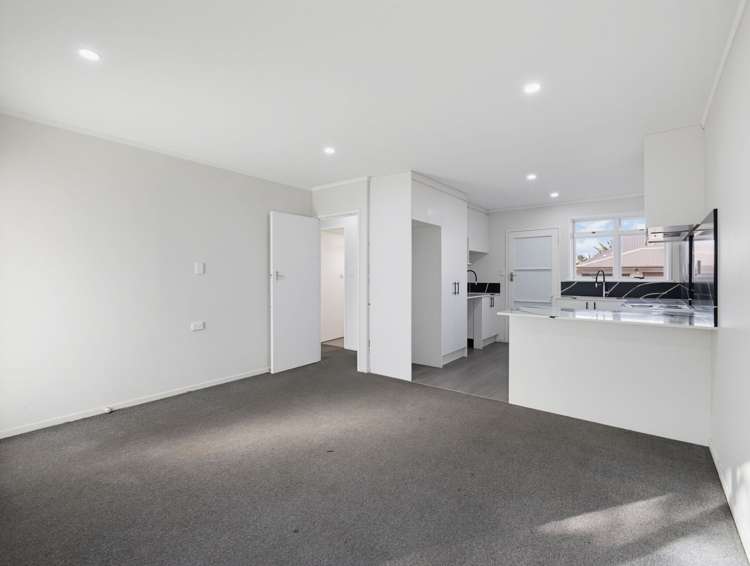 2/24a Vine Street_2