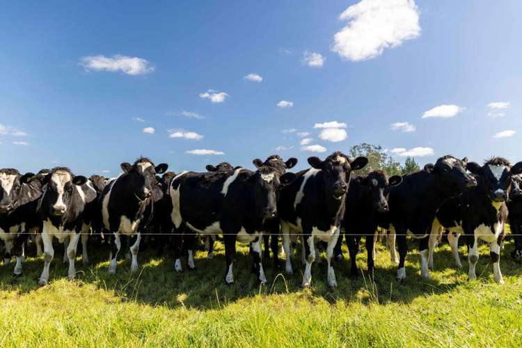 1329 Wards Road Darfield_5