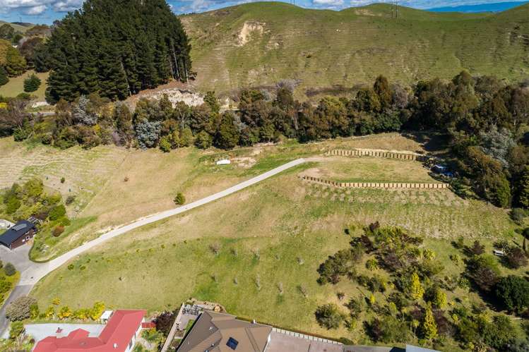 106 Kent Terrace Taradale_1