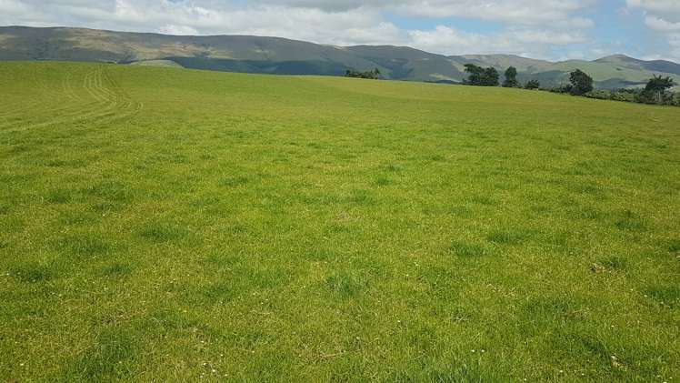 259 Kaihiku Church Road Clinton and Surrounds_8