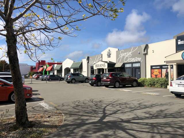 Unit 4, 7 Pilgrim Place Sydenham_4