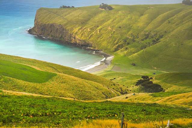 461 Goughs Road Goughs Bay_1