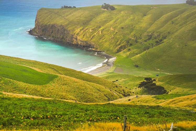 461 Goughs Road Goughs Bay_1